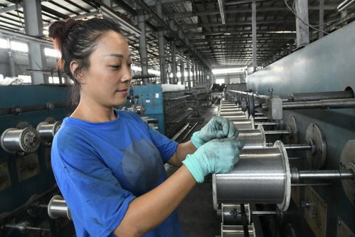 洪企在線丨江蘇港纜新材料 鋁合金工藝全國領(lǐng)先，新材料技術(shù)研發(fā)領(lǐng)航行業(yè)